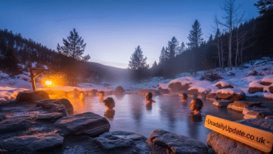 Orvis Hot Springs